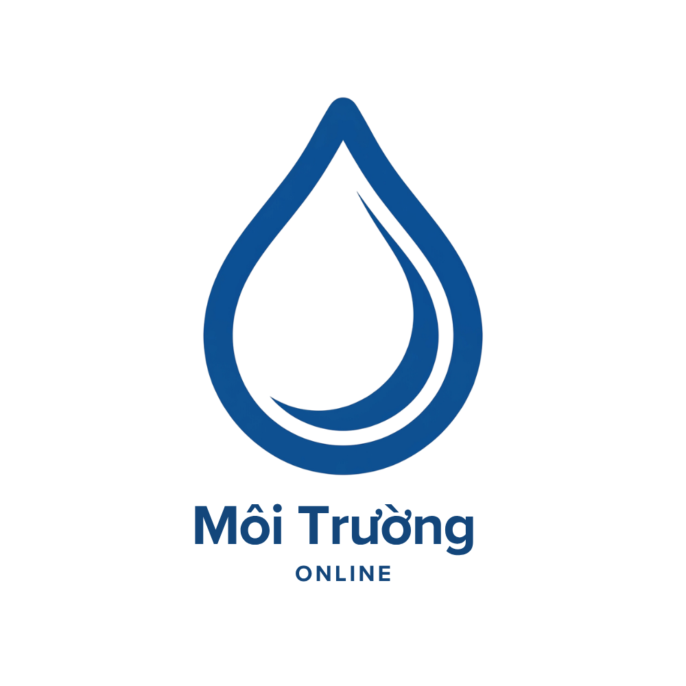 Môi Trường Online